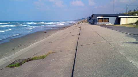 hanakun20111110.jpg