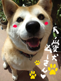 makino20111102.jpg